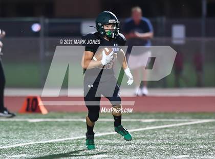Thumbnail 1 in Cactus Shadows @ Campo Verde  photogallery.