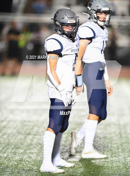 Thumbnail 2 in Cactus Shadows @ Campo Verde  photogallery.