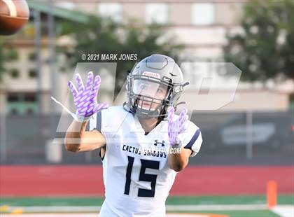 Thumbnail 3 in Cactus Shadows @ Campo Verde  photogallery.