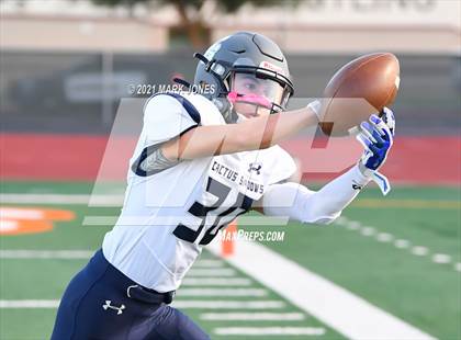 Thumbnail 2 in Cactus Shadows @ Campo Verde  photogallery.