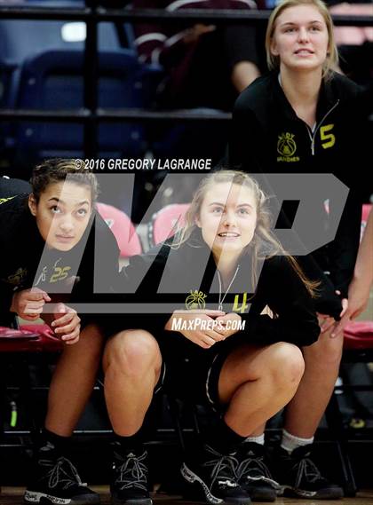 Thumbnail 2 in Amarillo vs. Mansfield Timberview photogallery.