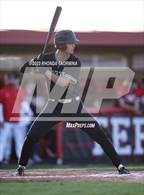 Photo from the gallery "Foster @ Terry"