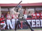 Photo from the gallery "Foster @ Terry"