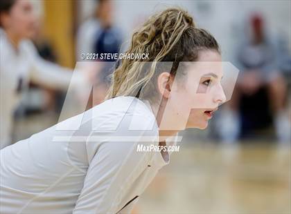 Thumbnail 3 in Hamilton @ Perry photogallery.