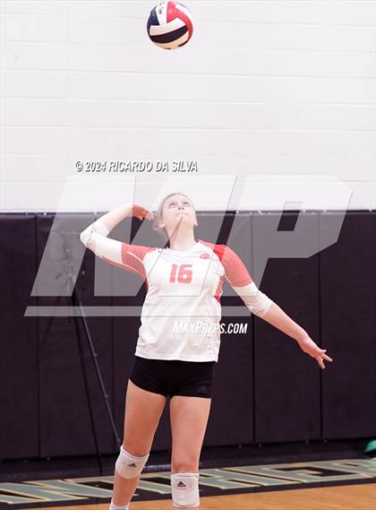 Thumbnail 2 in Paetow vs Katy photogallery.
