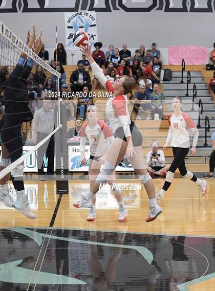 Thumbnail 3 in Paetow vs Katy photogallery.