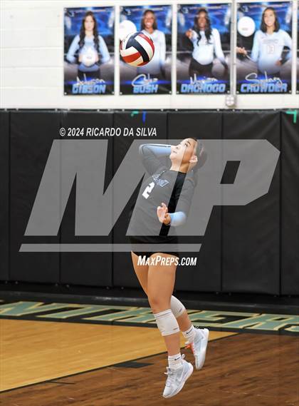 Thumbnail 3 in Paetow vs Katy photogallery.