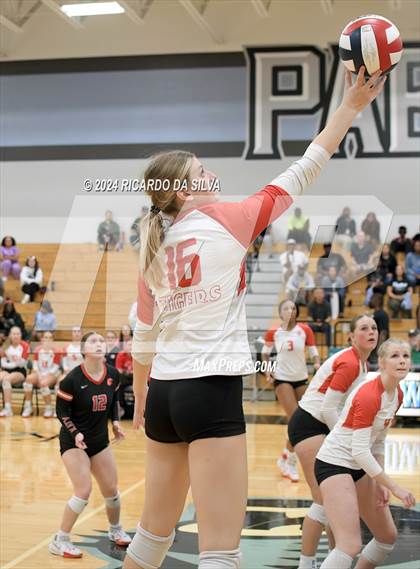 Thumbnail 3 in Paetow vs Katy photogallery.