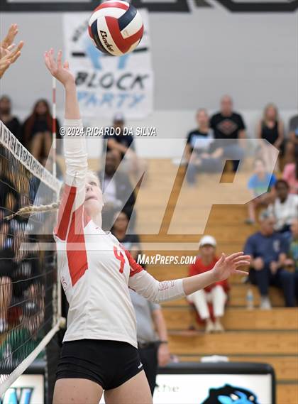 Thumbnail 1 in Paetow vs Katy photogallery.