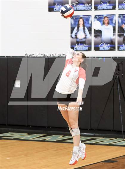 Thumbnail 3 in Paetow vs Katy photogallery.