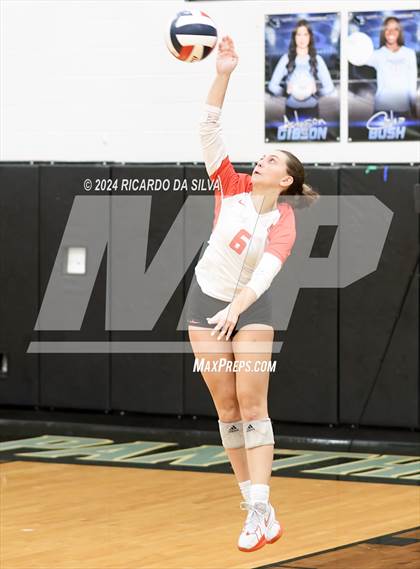 Thumbnail 2 in Paetow vs Katy photogallery.