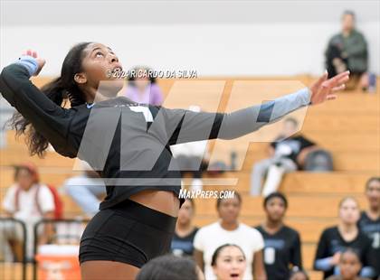 Thumbnail 3 in Paetow vs Katy photogallery.