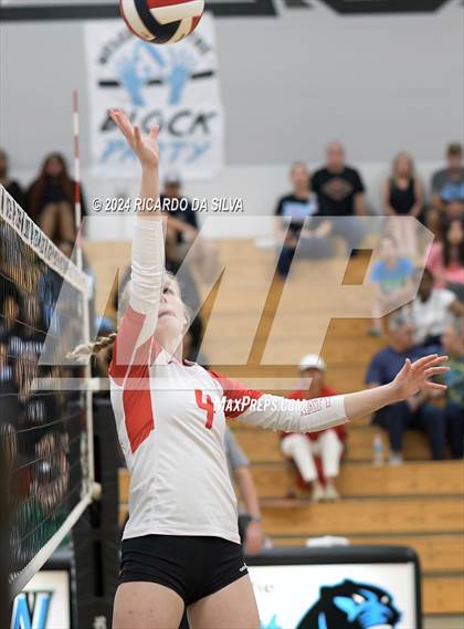 Thumbnail 1 in Paetow vs Katy photogallery.