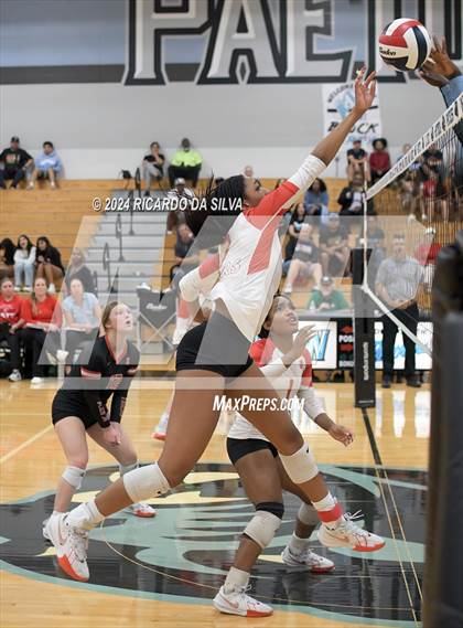 Thumbnail 3 in Paetow vs Katy photogallery.