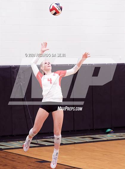 Thumbnail 3 in Paetow vs Katy photogallery.
