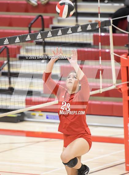 Thumbnail 2 in Palos Verdes @ Lakewood (CIF SS Division 1 Playoff) photogallery.