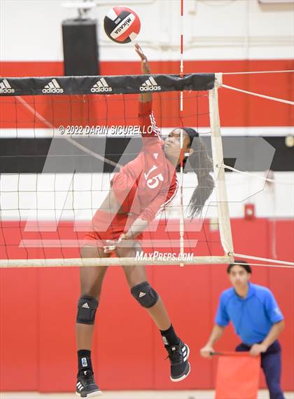 Thumbnail 1 in Palos Verdes @ Lakewood (CIF SS Division 1 Playoff) photogallery.