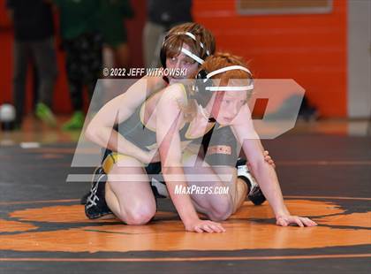 Thumbnail 1 in Baddest Cat On The Mat Tournament photogallery.
