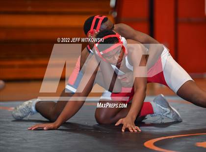 Thumbnail 3 in Baddest Cat On The Mat Tournament photogallery.