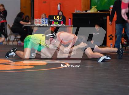 Thumbnail 3 in Baddest Cat On The Mat Tournament photogallery.