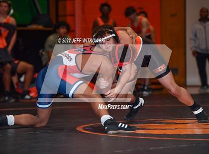 Thumbnail 1 in Baddest Cat On The Mat Tournament photogallery.