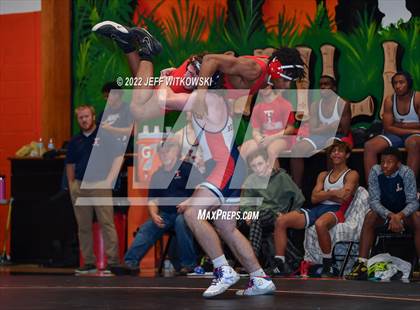 Thumbnail 2 in Baddest Cat On The Mat Tournament photogallery.