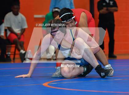 Thumbnail 1 in Baddest Cat On The Mat Tournament photogallery.
