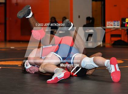 Thumbnail 1 in Baddest Cat On The Mat Tournament photogallery.