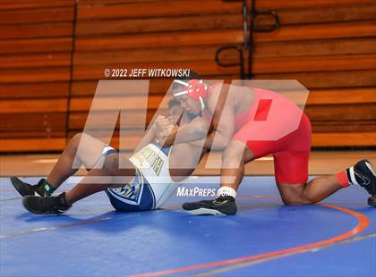 Thumbnail 1 in Baddest Cat On The Mat Tournament photogallery.
