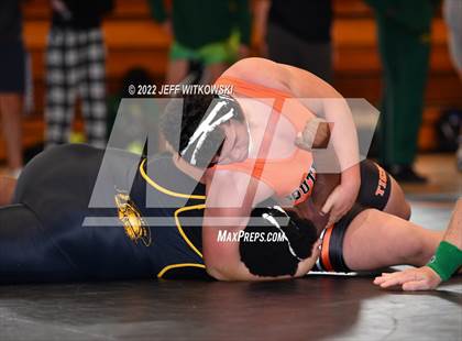 Thumbnail 3 in Baddest Cat On The Mat Tournament photogallery.