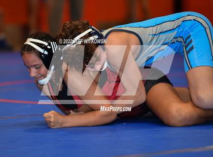 Thumbnail 1 in Baddest Cat On The Mat Tournament photogallery.