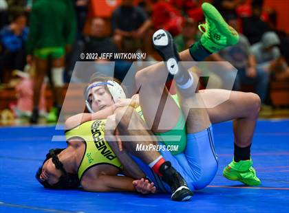 Thumbnail 2 in Baddest Cat On The Mat Tournament photogallery.