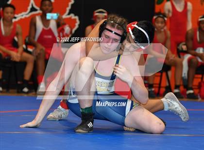 Thumbnail 3 in Baddest Cat On The Mat Tournament photogallery.