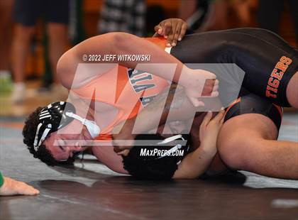 Thumbnail 1 in Baddest Cat On The Mat Tournament photogallery.