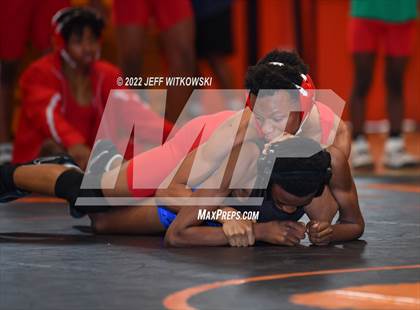 Thumbnail 1 in Baddest Cat On The Mat Tournament photogallery.