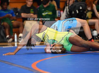 Thumbnail 1 in Baddest Cat On The Mat Tournament photogallery.