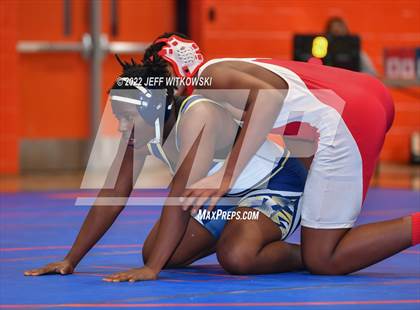 Thumbnail 3 in Baddest Cat On The Mat Tournament photogallery.
