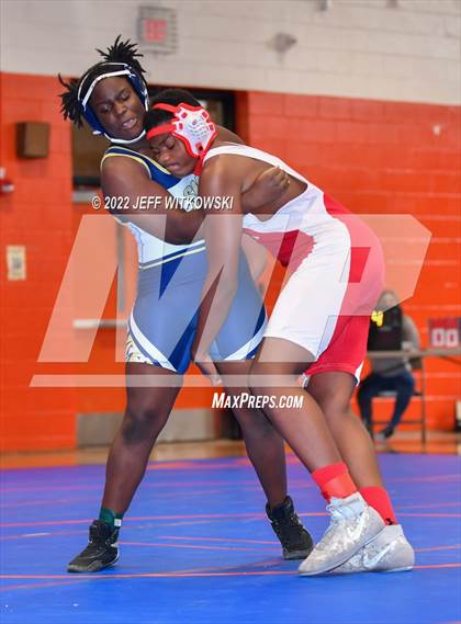 Thumbnail 2 in Baddest Cat On The Mat Tournament photogallery.