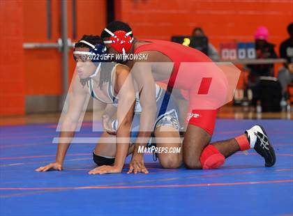 Thumbnail 3 in Baddest Cat On The Mat Tournament photogallery.