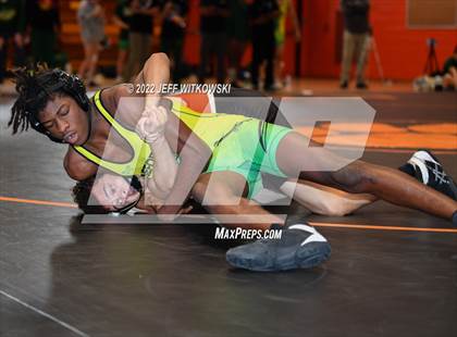 Thumbnail 1 in Baddest Cat On The Mat Tournament photogallery.