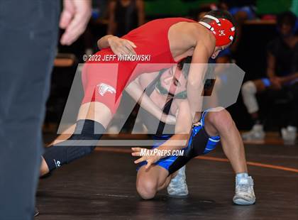 Thumbnail 3 in Baddest Cat On The Mat Tournament photogallery.