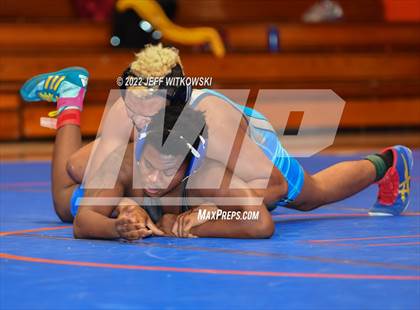 Thumbnail 1 in Baddest Cat On The Mat Tournament photogallery.