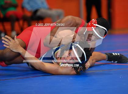 Thumbnail 1 in Baddest Cat On The Mat Tournament photogallery.