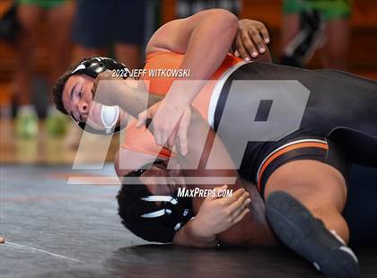 Thumbnail 2 in Baddest Cat On The Mat Tournament photogallery.