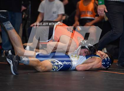 Thumbnail 1 in Baddest Cat On The Mat Tournament photogallery.