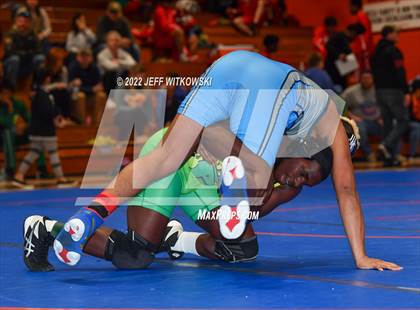 Thumbnail 2 in Baddest Cat On The Mat Tournament photogallery.