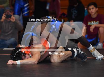 Thumbnail 2 in Baddest Cat On The Mat Tournament photogallery.