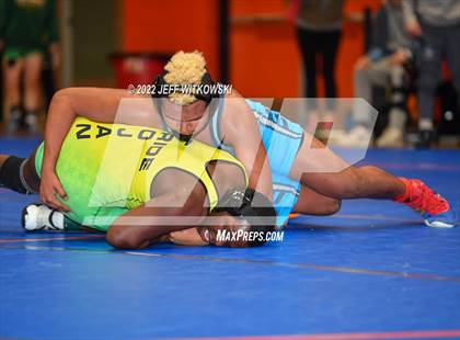 Thumbnail 1 in Baddest Cat On The Mat Tournament photogallery.