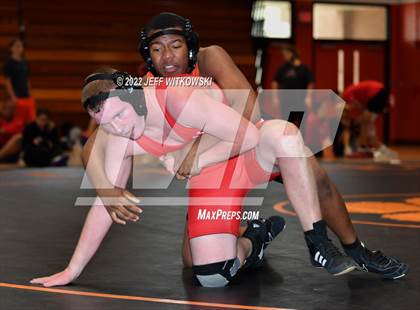 Thumbnail 3 in Baddest Cat On The Mat Tournament photogallery.