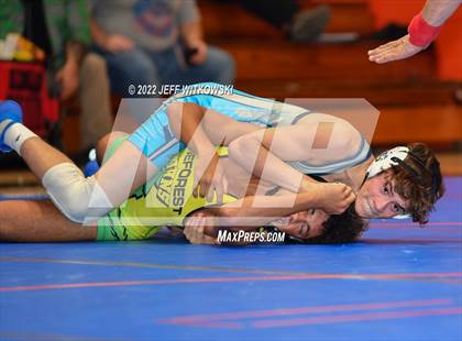 Thumbnail 3 in Baddest Cat On The Mat Tournament photogallery.